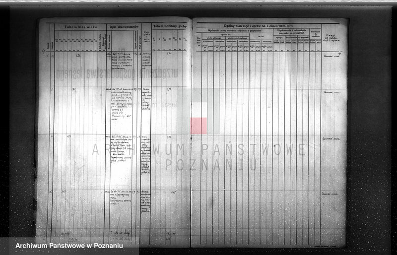 image.from.unit.number "Plan urządzenia gospodarstwa leśnego dla lasu majętności Rudki w powiecie szamotulskim 1929-1939"