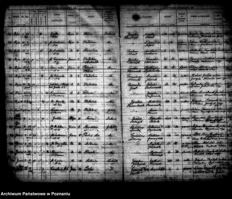 Obraz 16 z jednostki "Księga urodzin"