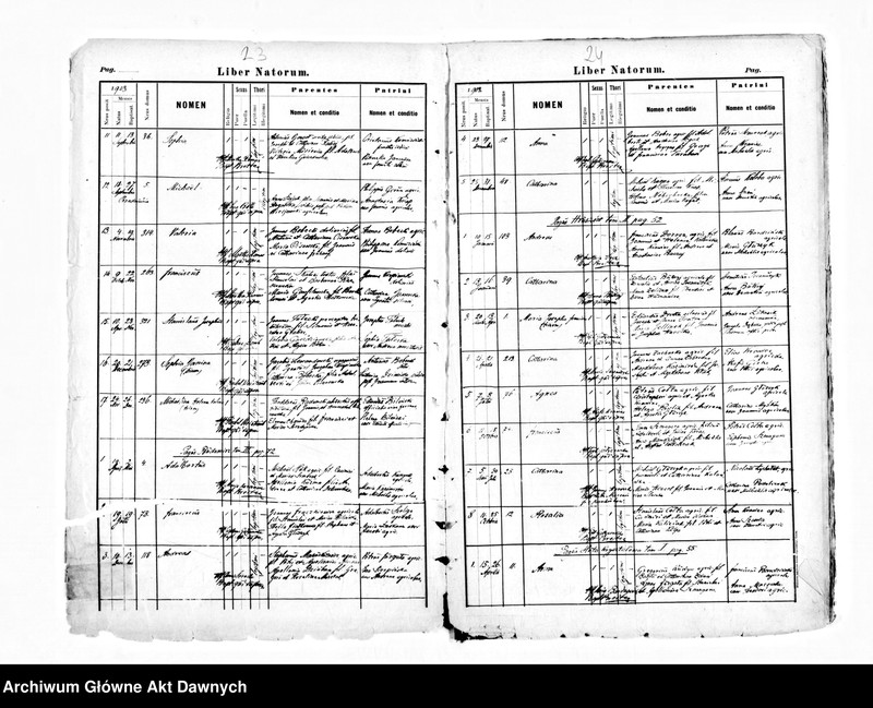 image.from.unit.number "Parafia: Niemirów. Dekanat: Lubaczów. Kopie z ksiąg metrykalnych ur., śl., zg. dla miasta Niemirów i wsi: Budomirz, Szczerzec, Huta Kryształowa, Wierzbiany, Wróblaczyn."