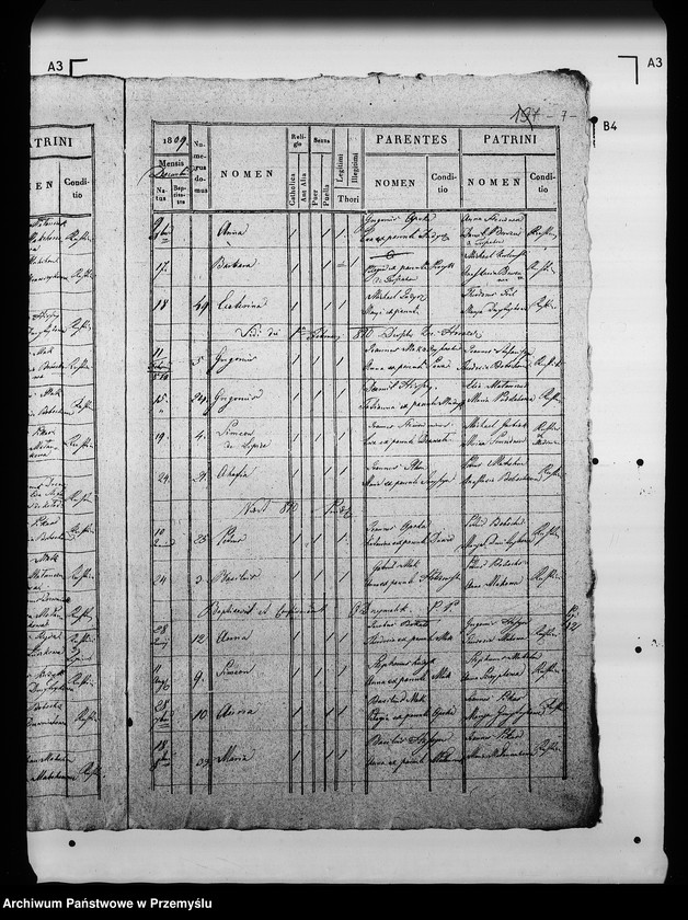 Obraz 11 z jednostki "[Kopie ksiąg metrykalnych parafii Kołodruby z filiami Lipice, Powerchów (dekanat Komarno)]"
