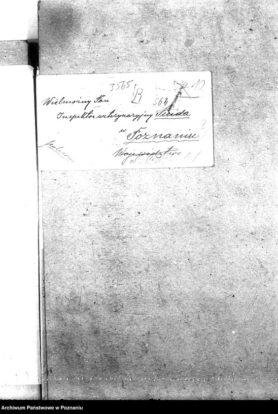 Obraz 17 z jednostki "Pow. lekarz Weterynaryjny Witkowo"