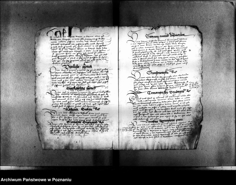 Obraz 12 z jednostki "Resignationes ,inscriptiones, relationes, decreta [protocollon]"