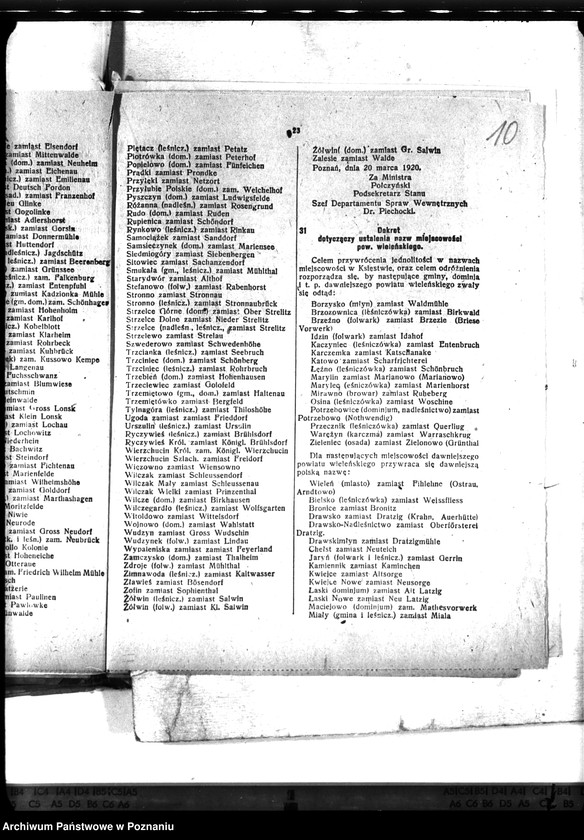 Obraz 14 z jednostki "Zaraza płucna - Gniezno"