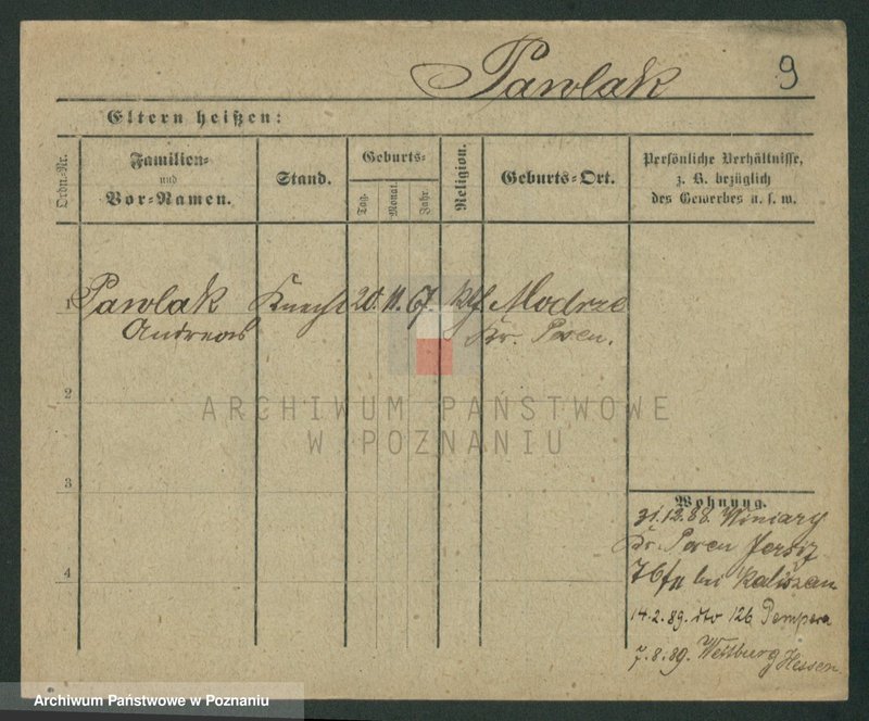 Obraz 11 z jednostki "Pawlak (samotni mężczyźni i kobiety)"