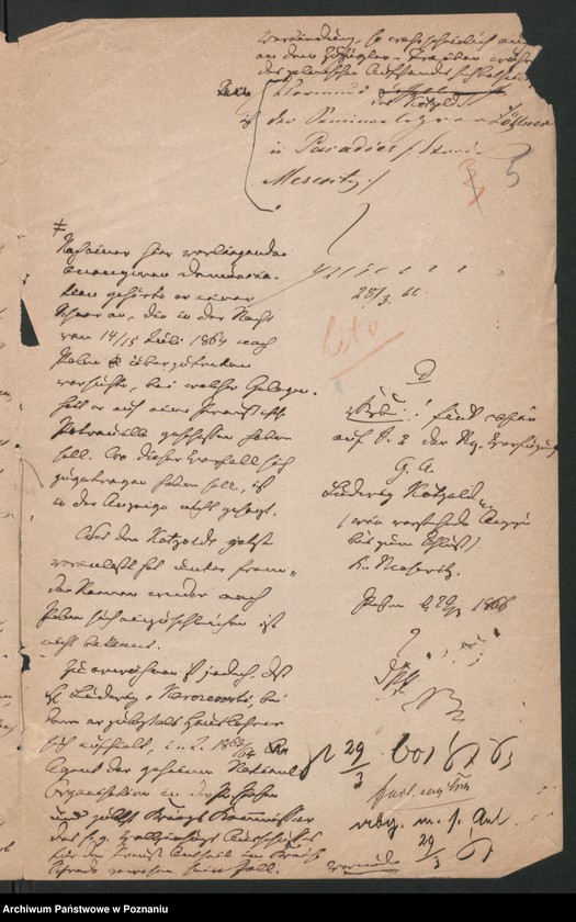 Obraz 7 z jednostki "A. betr. Ludwig Kotzold, Stud. med."