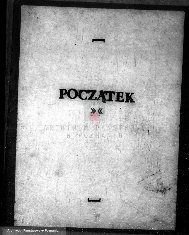 Obraz 3 z jednostki "Nadzór nad gospodarką w lasach majątku Dusina w powiecie gostyńskim"