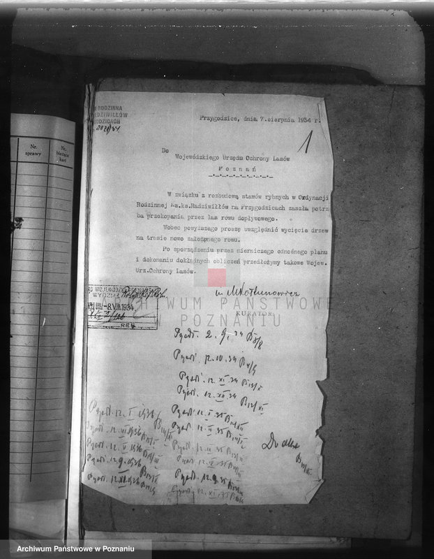 Obraz 5 z jednostki "Majętność /leśna/ Przygodzice w powiecie ostrowskim"