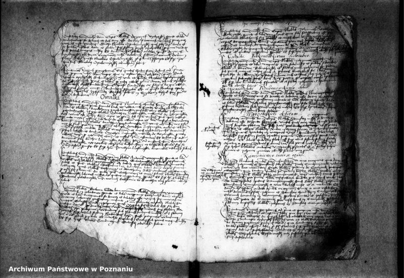 Obraz 15 z jednostki "Inscriptiones, relationes, decreta [protocollon]"