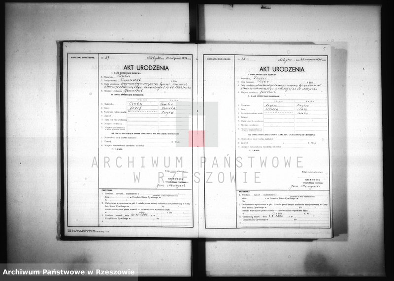 image.from.unit.number "Akta urodzeń Jawornik 1894-1903"