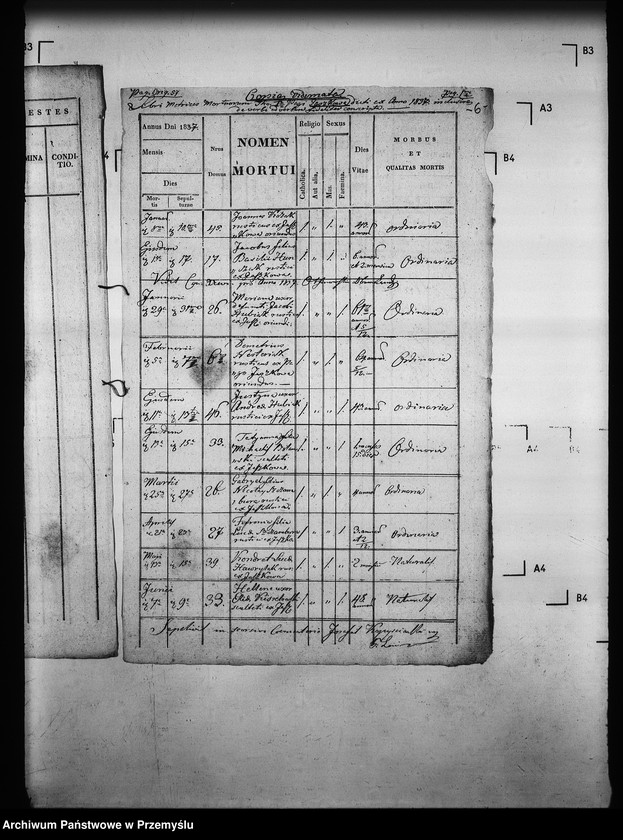 Obraz 10 z jednostki "[Kopie ksiąg metrykalnych parafii Brunary Wyżne z filiami Brunary Niżne, Czarna, Jaszkowa (dekanat Grybów)]"