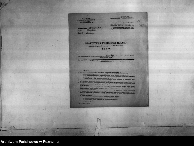 Obraz 19 z jednostki "/Statystyka produkcji rolnej - zestawienie z terenu powiatu kościańskiego"