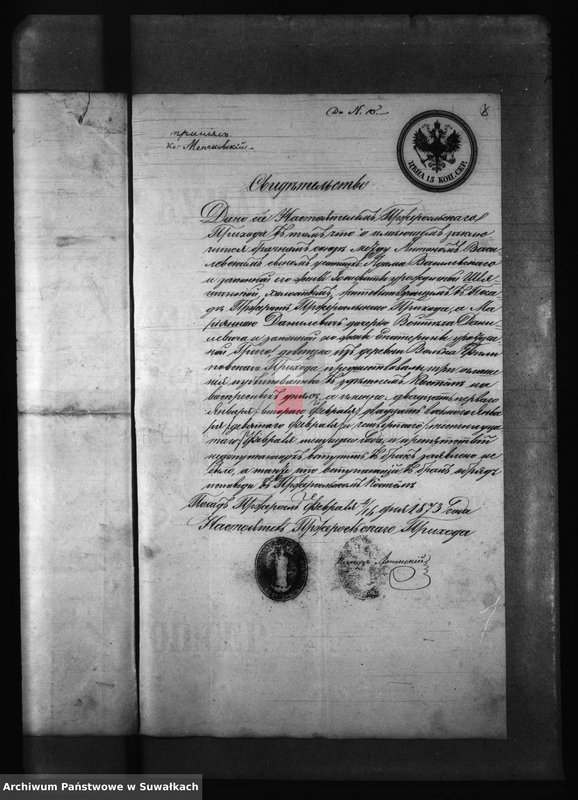 Obraz 12 z jednostki "Kniga s dokumentami Filipovskago Rimsko Katoličeskago Prichoda v 1873 godu"