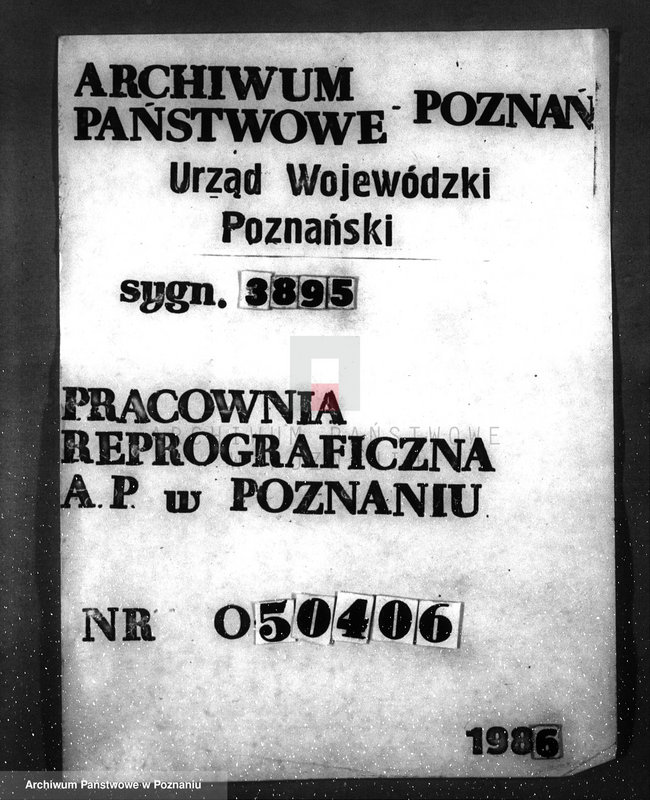 Obraz 1 z jednostki "Program gospodarczy dla lasu Adolfa Witta w gminie Jasionna powiat szamotulski"