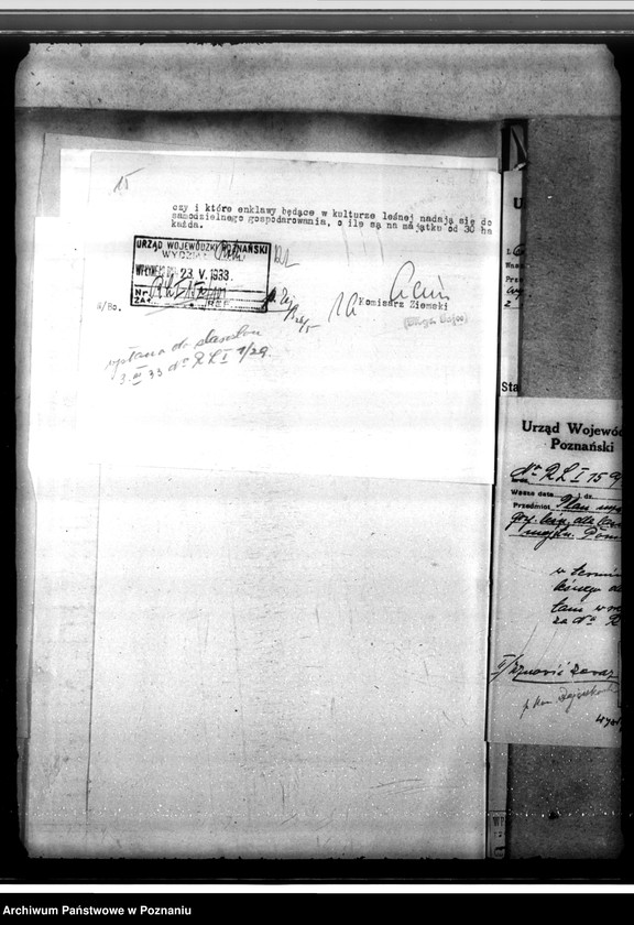 Obraz 19 z jednostki "Lasy majętności Wydawy w powiecie gostyńskim"