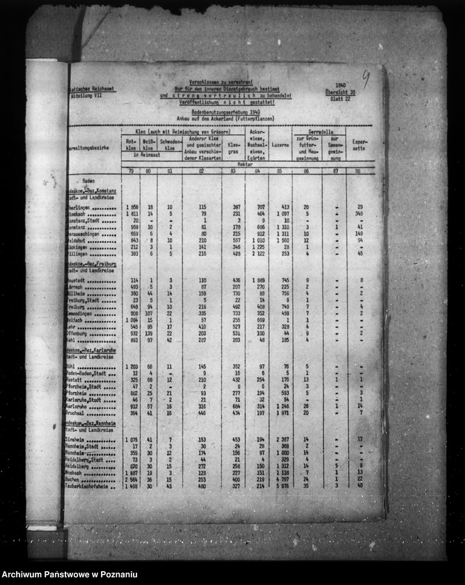 Obraz 13 z jednostki "Baden"