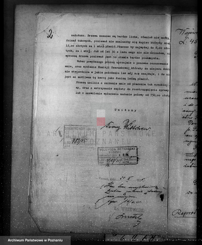 Obraz 6 z jednostki "/Nadzór nad gospodarką w lasach majątku Lubień-Helowskie w powiecie nowotomyskim"