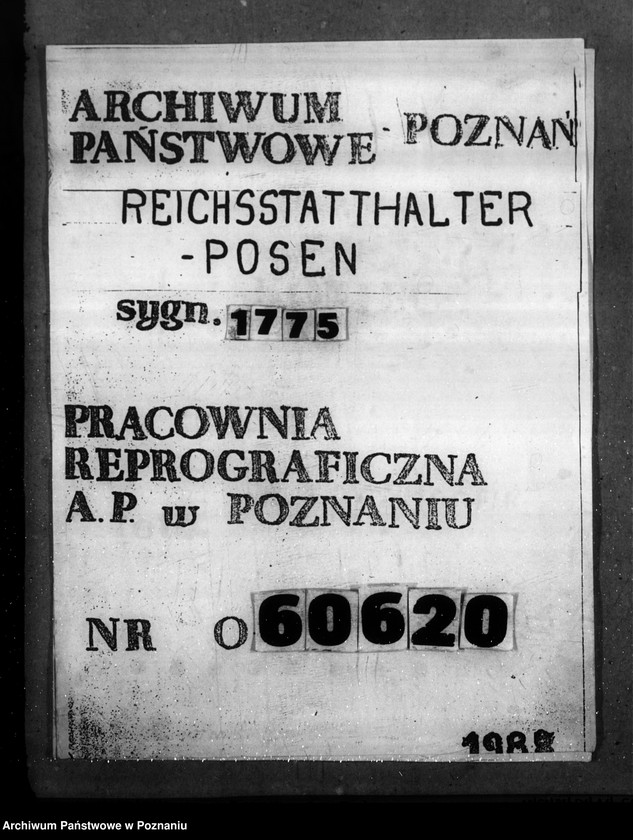 Obraz 1 z jednostki "Elektrizitätswerk - Leslau (Włocławek)"