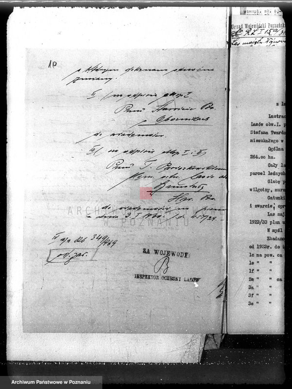 Obraz 14 z jednostki "Nadzór nad gospodarką w lasach majętności Wojnowo powiat obornicki"