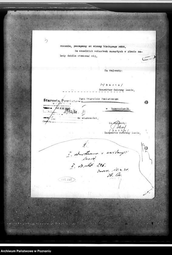 Obraz 7 z jednostki "Las majętności Wierzbiczany w powiecie inowrocławskim"