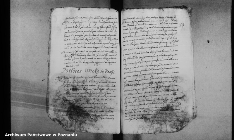 Obraz 20 z jednostki "Decreta officii [inducta]"