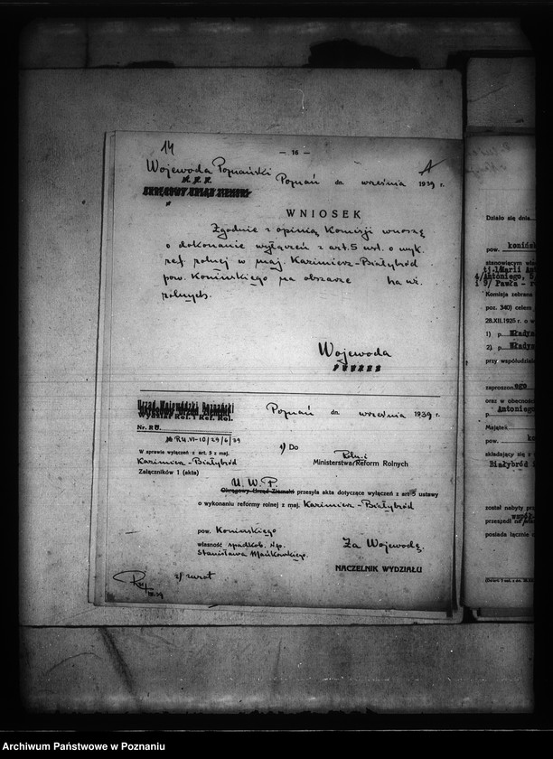 Obraz 18 z jednostki "wyłączenie z art. 5 ustawy o wykonaniu reformy rolnej we wsi Kazimierz Biskupi Białybród powiatu konińskiego"