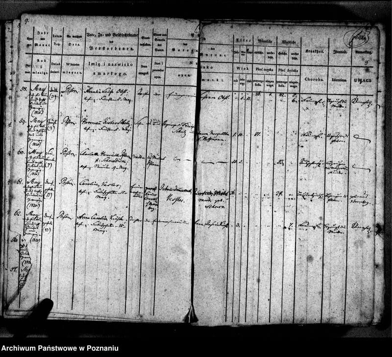 Obraz 12 z jednostki "Sterbenbuch"