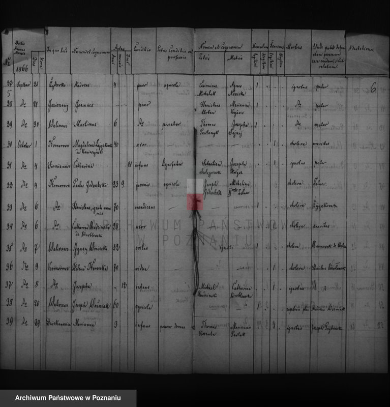 image.from.unit.number "Duplikat zmarłych"
