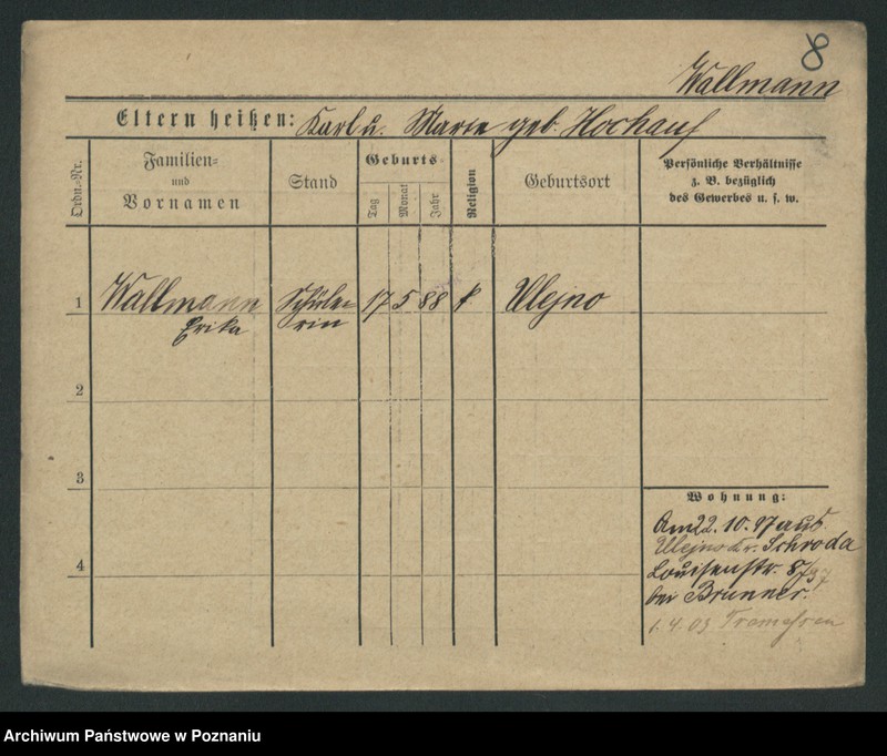 Obraz 20 z jednostki "Walmajer - Walter (żonaci - samotni mężczyźni)"