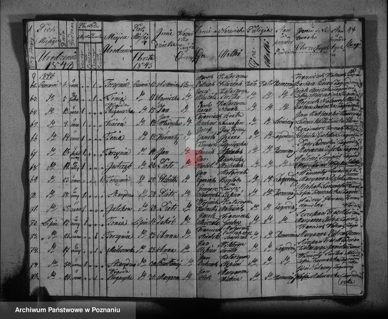 Obraz 8 z jednostki "Księga urodzonych"