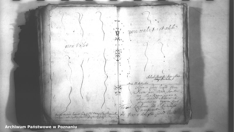 Obraz 12 z jednostki "Relationes [protocollon]"