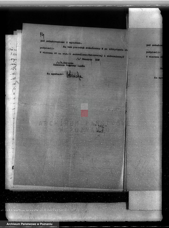 Obraz 18 z jednostki "Sprawy zmiany rodzaju użytków 18,66 ha gruntów leśnych w majątku Dęby-Szlacheckie powiatu kolskiego"