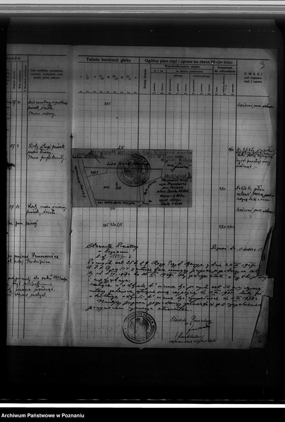 Obraz 7 z jednostki "Program urządzenia gospodarstwa leśnego dla lasu w gminie Pruszewice wł.. Berta Nickel powiat poznański 1929-1939"