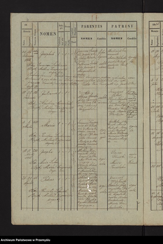 Obraz z jednostki "[Kopie metryk urodzeń w parafii Cieszanów z lat 1855-1856]"