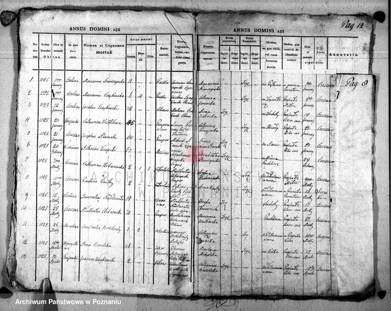 image.from.unit.number "Duplikat baptisatorum, copulatorum u. mortuorum"