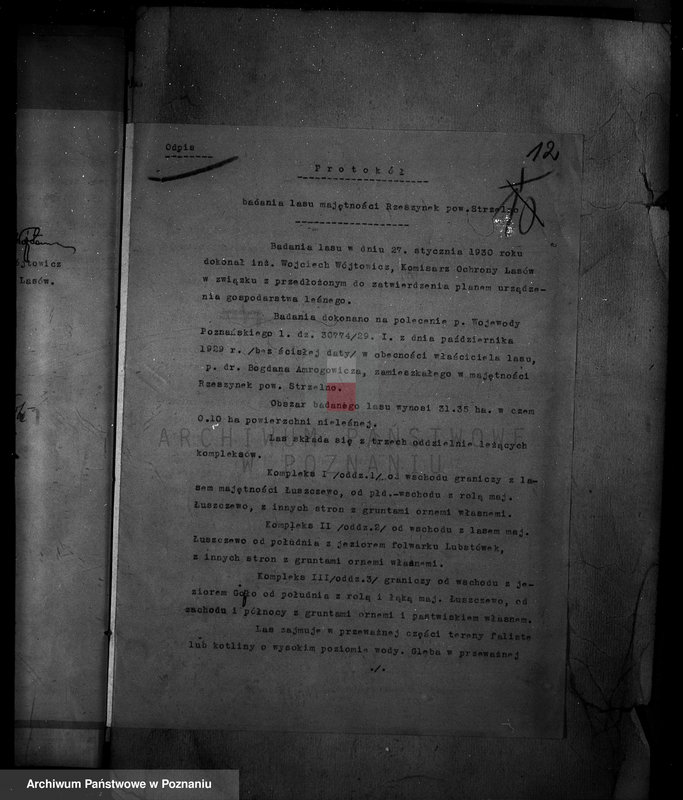 Obraz 17 z jednostki "/Majętność leśna Rzeszynek powiat mogileński"