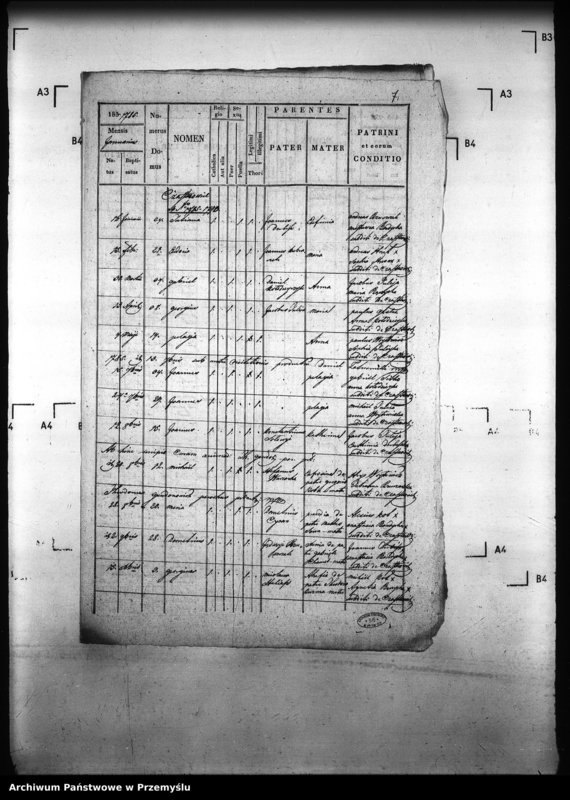 image.from.unit.number "[Kopie ksiąg metrykalnych parafii Pełniatycze z filiami Cząstkowice, Czelatyce, Roźwienica, Rożniatów, Rudołowice, Wola Roźwienicka (dekanat Pruchnik)]"