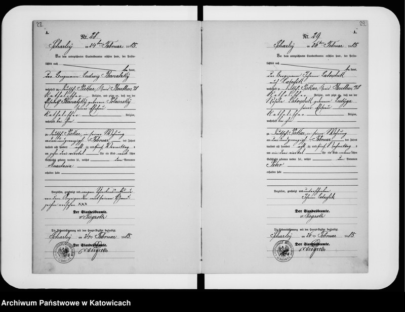 image.from.unit.number "Księga urodzeń nr 1-196"