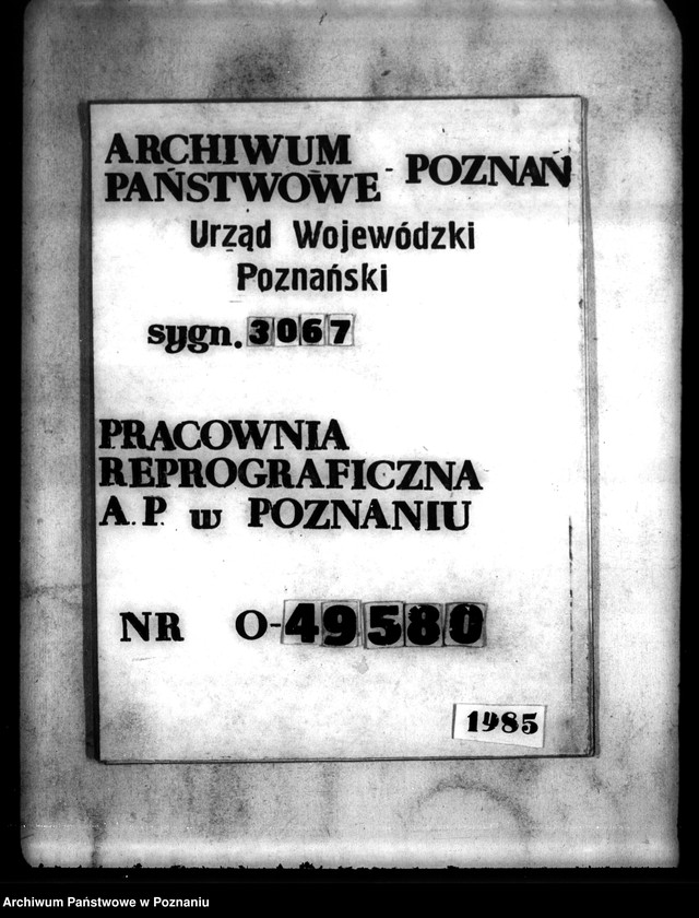 Obraz 8 z jednostki "Parcelacja prywatna majątku Trzeciewnica powiatu wyrzyskiego"