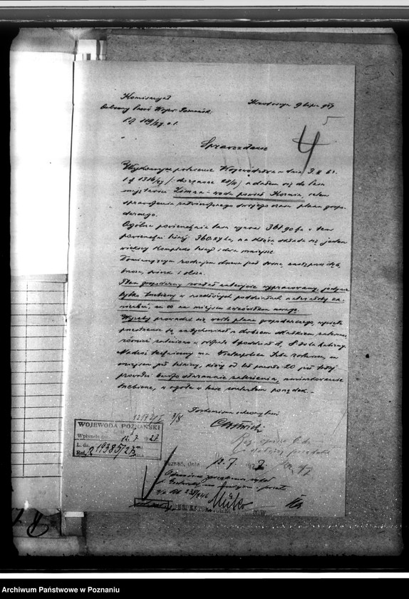 Obraz 9 z jednostki "Majętność leśna Zimnawoda w powiecie gostyńskim"