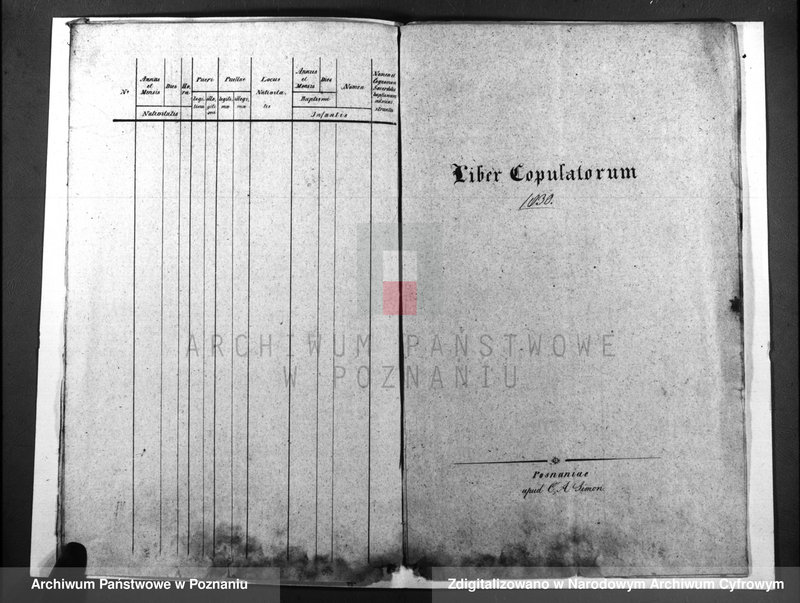image.from.unit.number "Duplicatus baptisatorum, copulatorum, mortuorum"