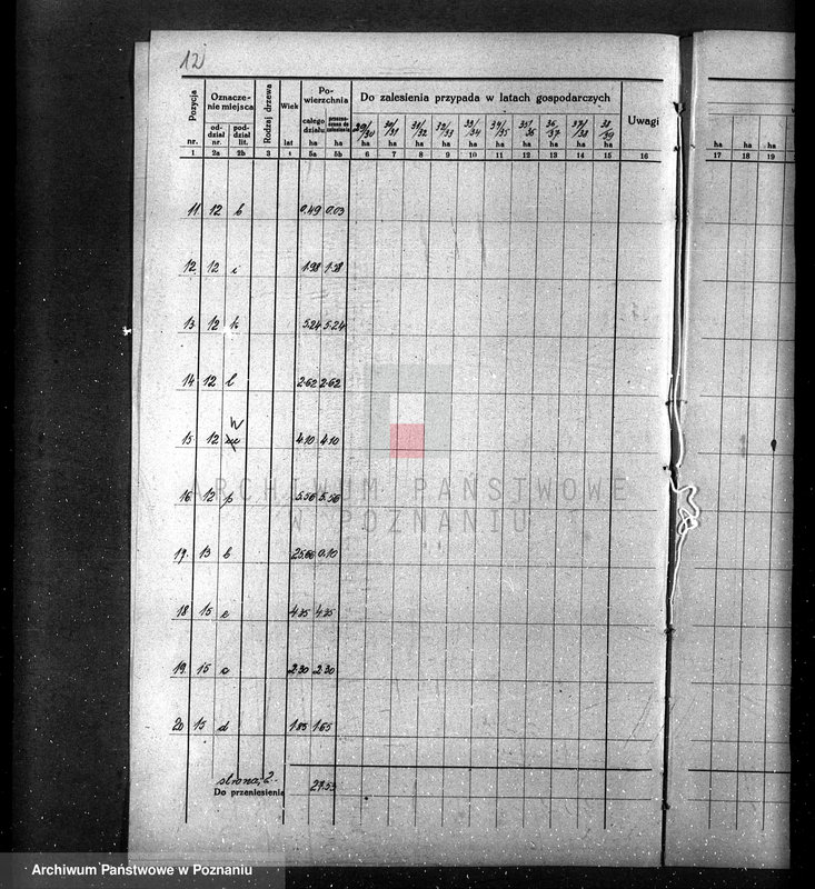 Obraz 16 z jednostki "/Opis lasu majętności Sławno w powiecie czarnkowskim/"