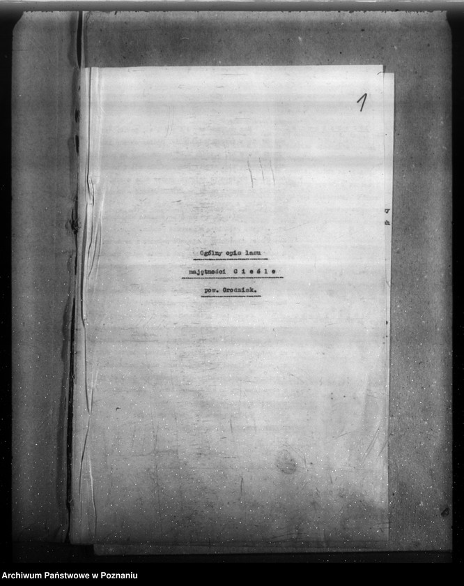 Obraz 5 z jednostki "Majątek Cieśle powiat grodziski /Nadzór nad gospodarką leśną/"