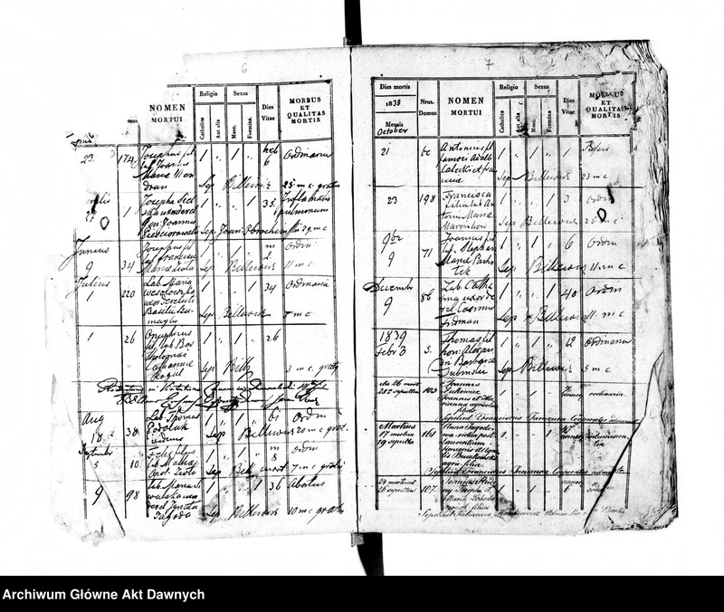 image.from.unit.number "Parafia: Czernielów Mazowiecki. Dekanat: Tarnopol. Księga metrykalna zgonów tylko dla wsi Borki Wielkie*."