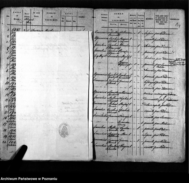 image.from.unit.number "Duplikat urodzeń, małżeństw i zmarłych"