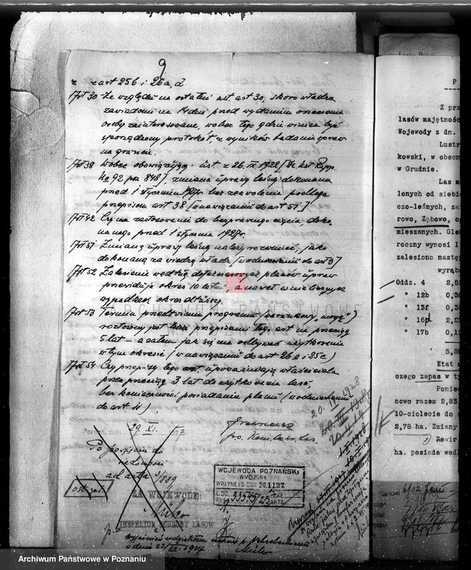 Obraz 13 z jednostki "Majętność Posadowo w powiecie nowotomyskim"