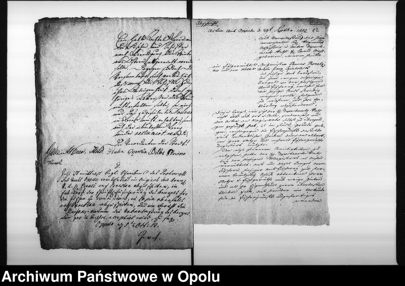 Obraz 11 z jednostki "Acta des Magistrats zu Oppeln betreffend die Ueberlassung des sogenannten städtischen Fischer Bergels an die auf der Domainen Amts Fischerey wohnenden Fischer für die Befungniss die Brücken aufzueissen Vol: I de anno 1812"