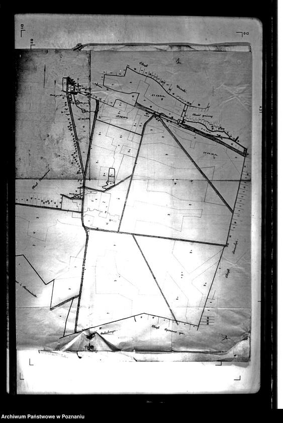 Obraz 6 z jednostki "/Kopie z mapy katastralnej majątku Nowawieś powiatu szamotulskiego/ skala 1:5000"
