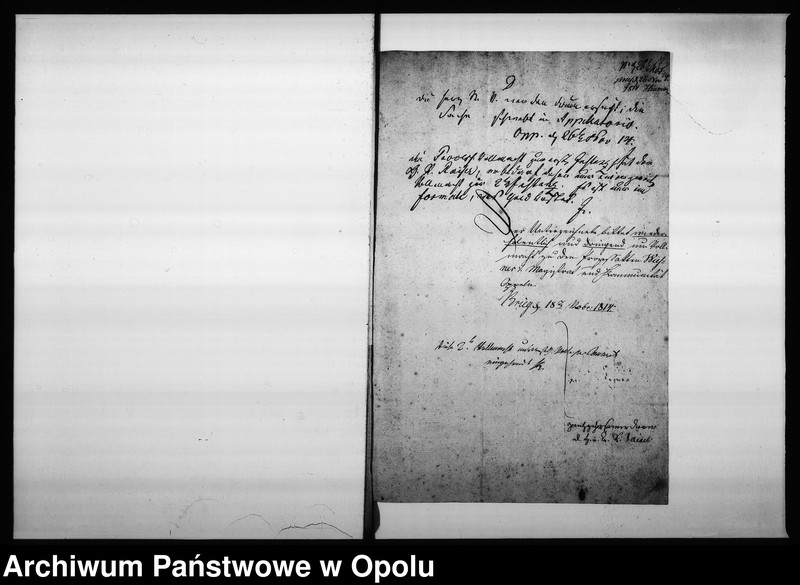 Obraz 16 z jednostki "Acta des Magistrats zu Oppeln betreffend die verweigerte Zahlung der Communal Beiträge des Cammer Commissions Raths Wiesner Vol: I"