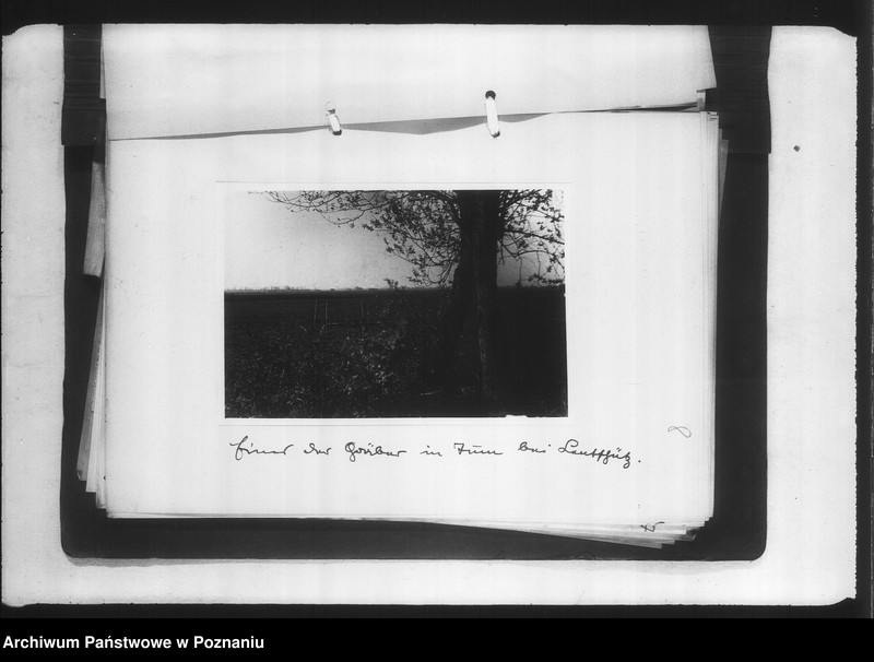 Obraz 12 z jednostki "Zweigstelle Litzmannstadt (Łódź) Aufnahmen"