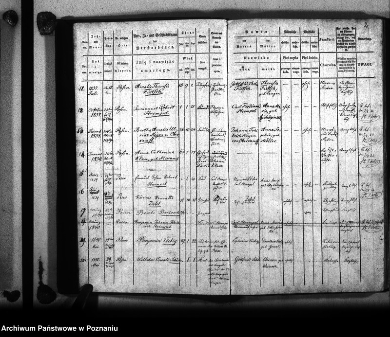 Obraz 6 z jednostki "Księga zejścia"